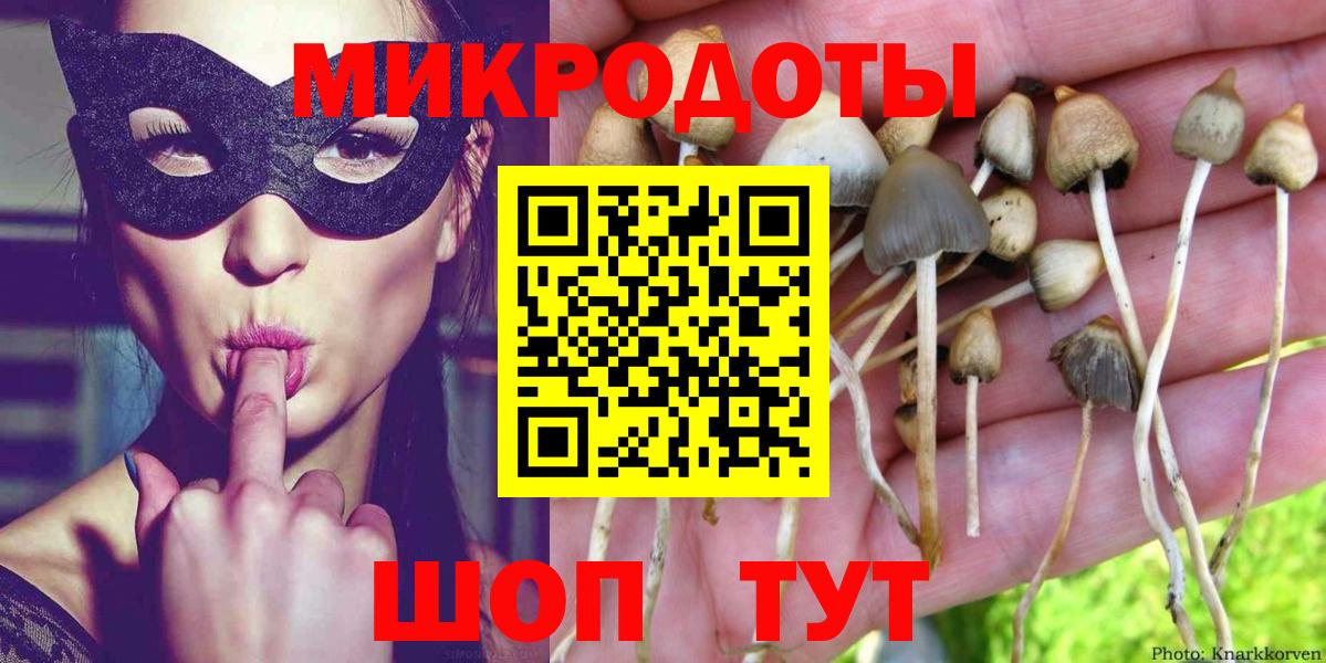 Выборг  Псилоцибиновые грибы MAGIC MUSHROOMS  Вход с VPN 
