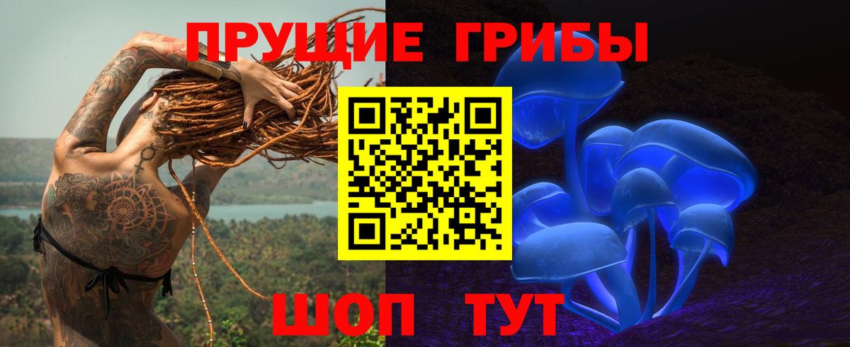 Галлюциногенные грибы мицелий Выборг